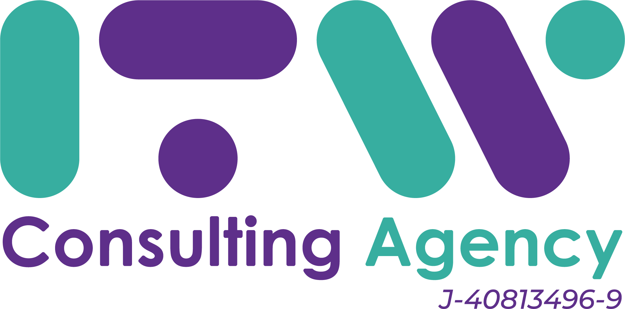 CONSULTING AGENCY